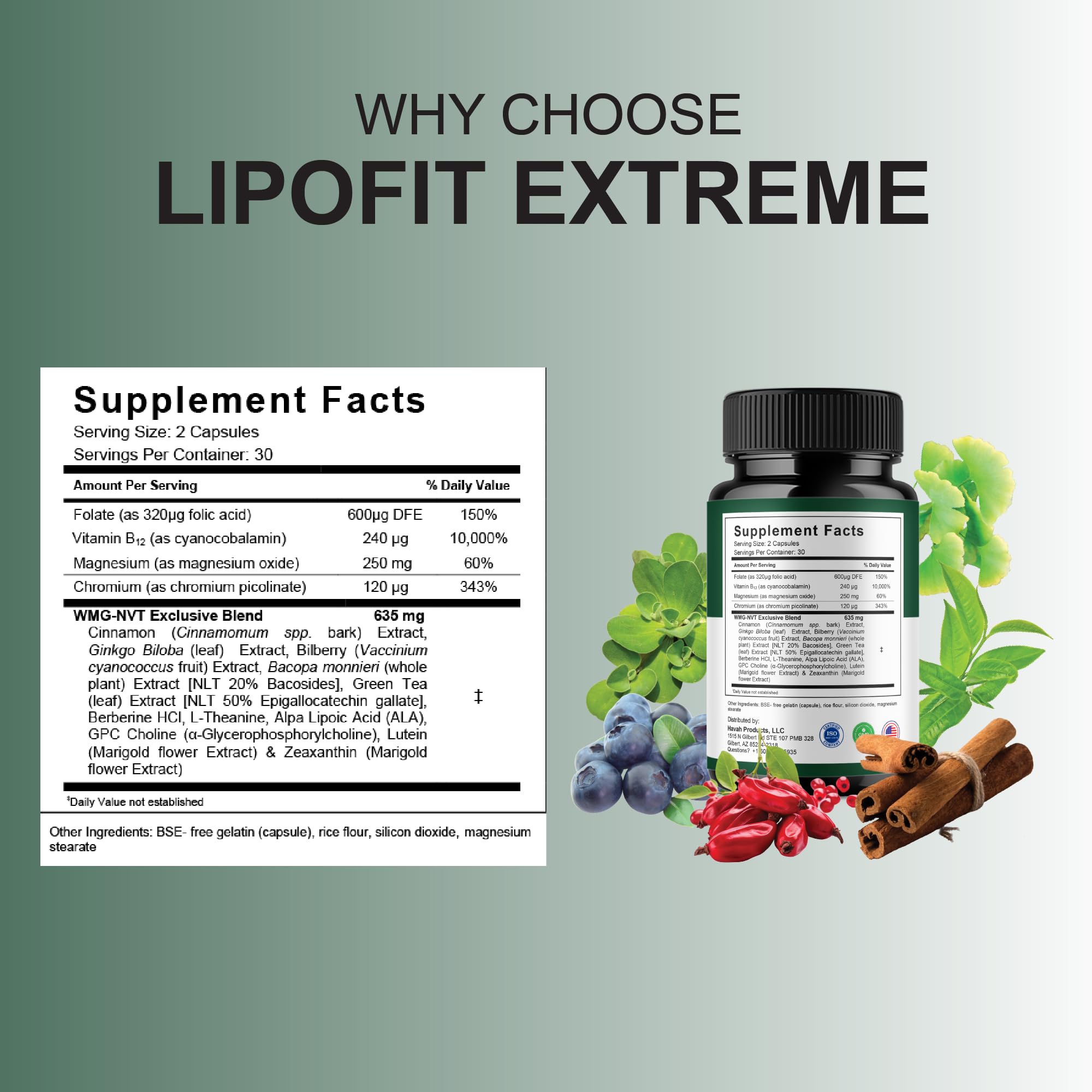 Blue Vibe Lipofit Extreme bottle close-up highlighting natural health support.