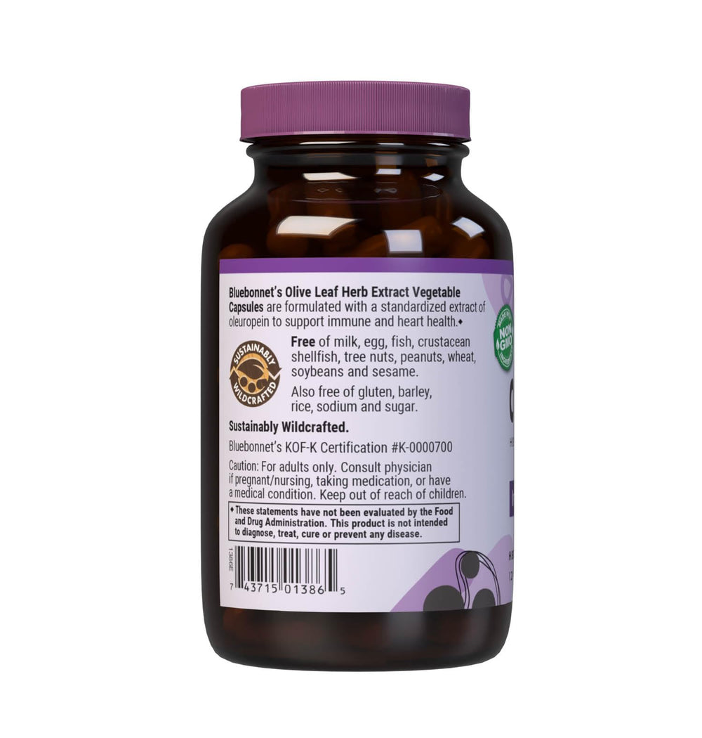 BlueBonnet Olive Leaf Extract glass bottle sits on a bright kitchen counter.