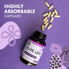 BlueBonnet Olive Leaf Extract ingredients card highlights standardized oleuropein content.