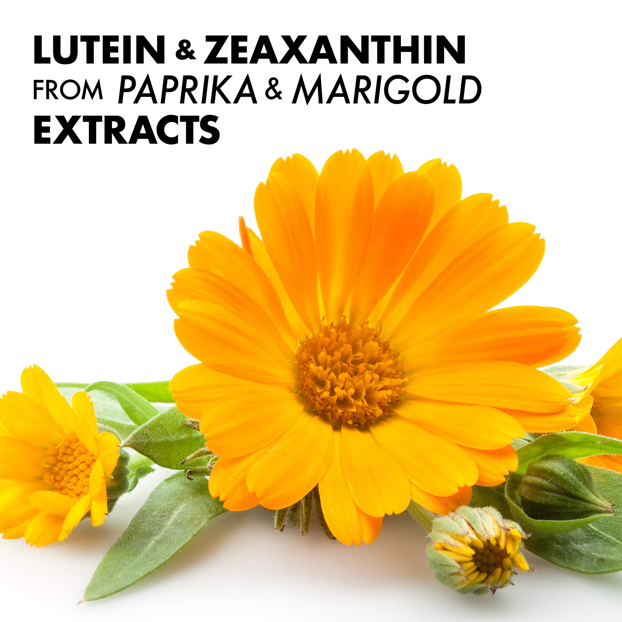 Bluebonnet Zeaxanthin & Lutein packaging display for shelf appeal