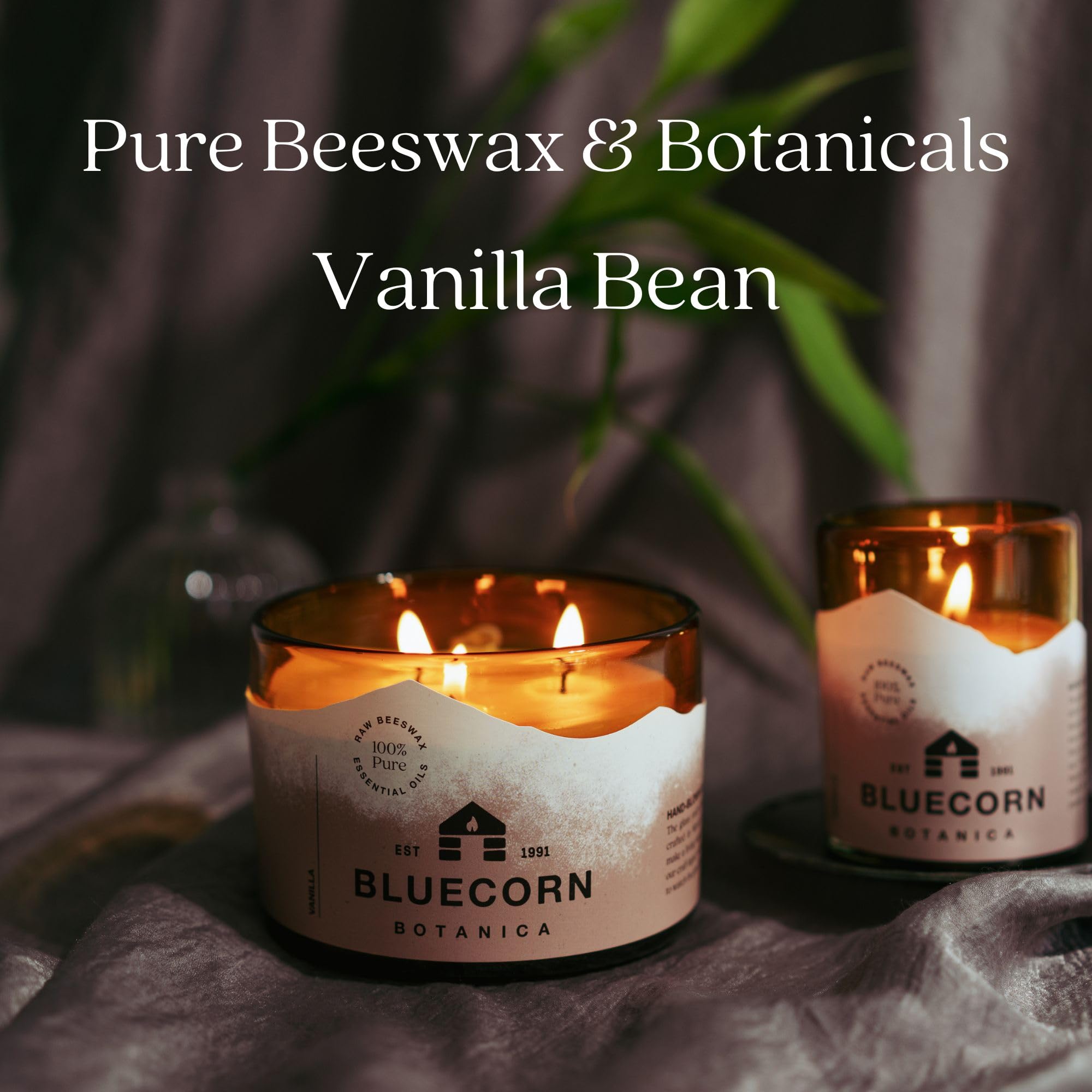 Bluecorn 3-wick candle with 40-hour burn time for long evenings