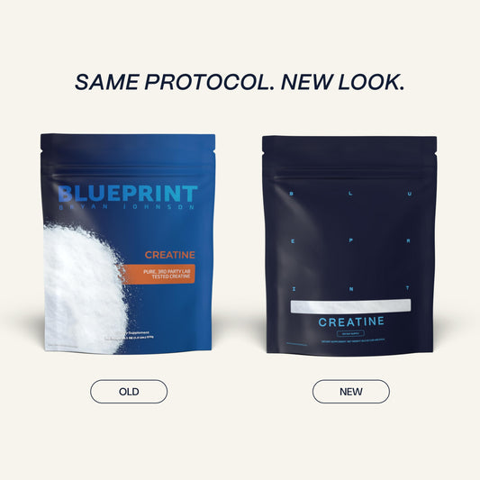 Scoop of Blueprint Bryan Johnson creatine monohydrate powder for precise 5g serving.