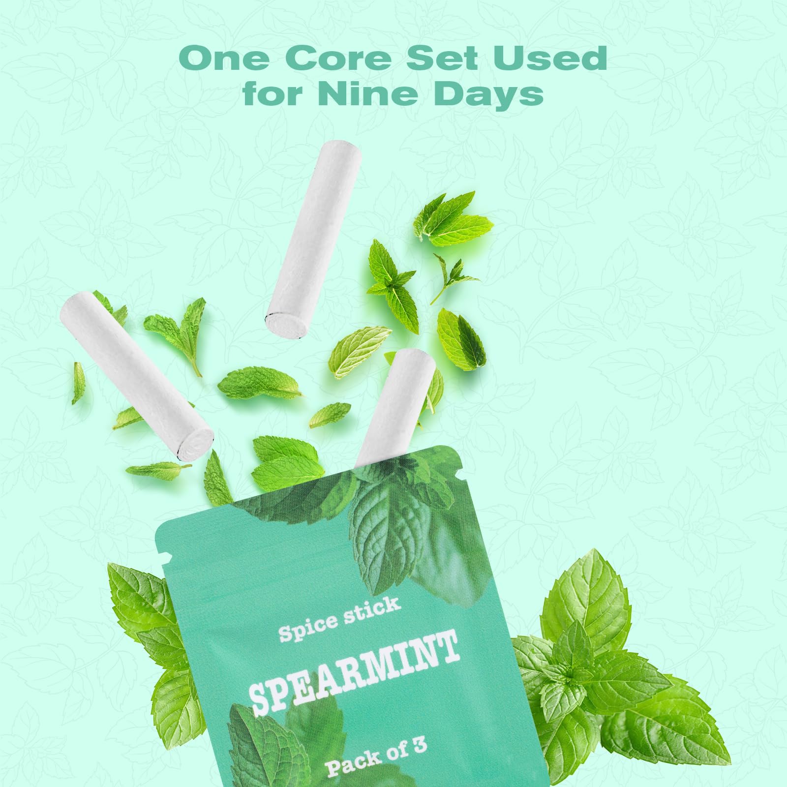 Travel-friendly Minty Cores case with easy access to cores.