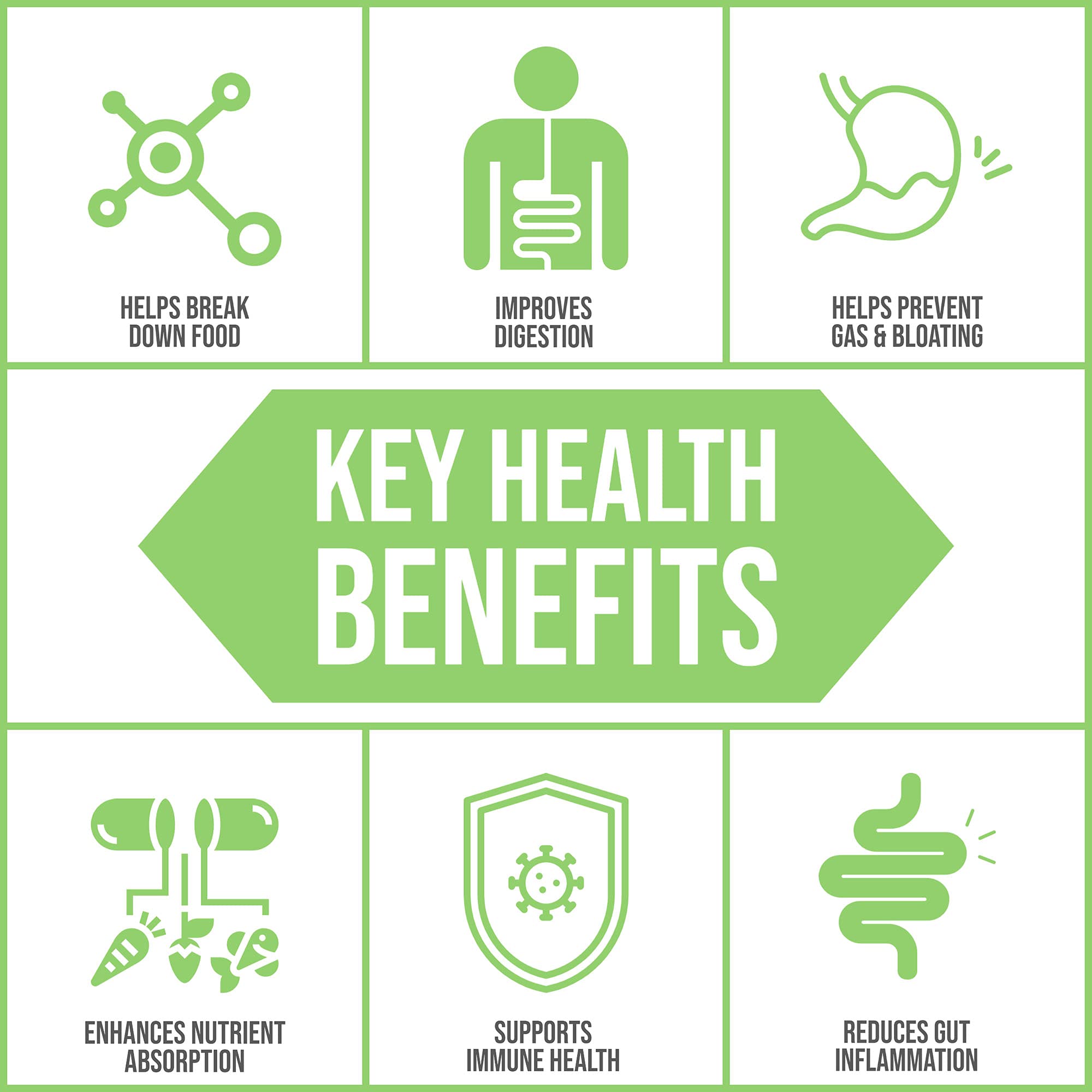 Body Ecology Assist label highlights vegan formula for nutrient absorption