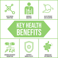 Body Ecology Assist label highlights vegan formula for nutrient absorption