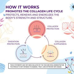 Body Kitchen Collagen Peptides powder dissolves quickly in liquids