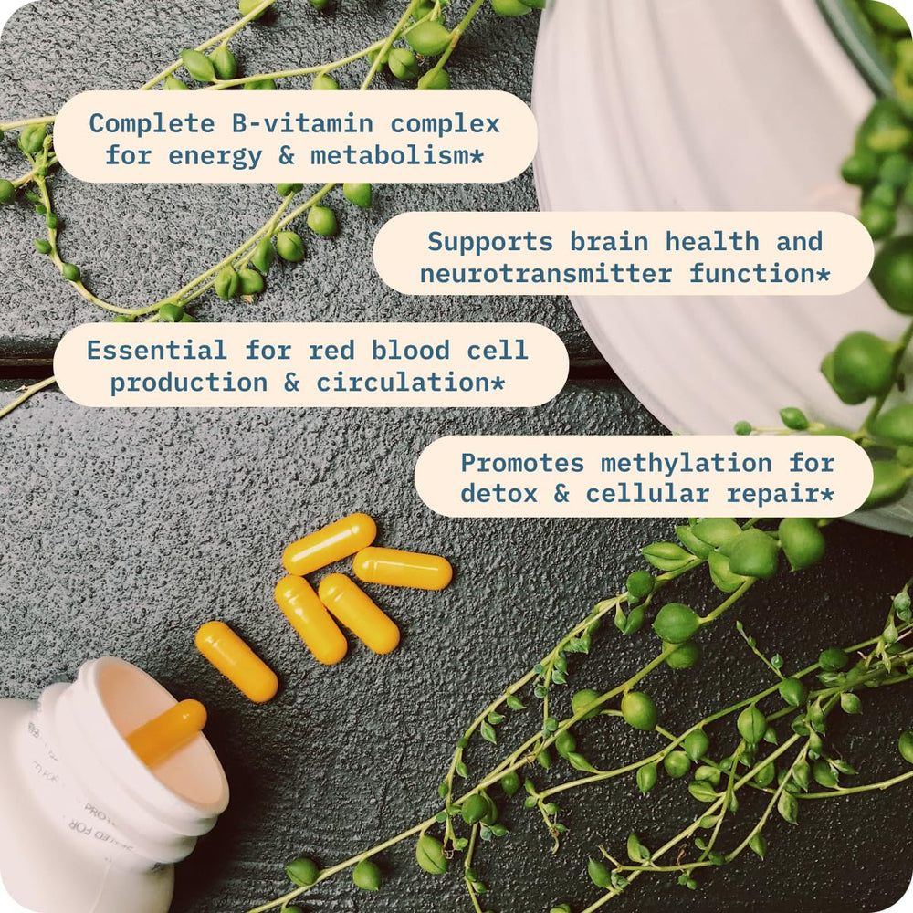BodyBio B Plus supplement facts emphasize purity and absence of artificial additives