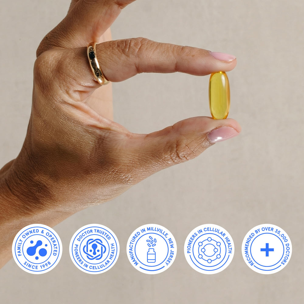 BodyBio Balance Oil serving-daily-use image suggests easy incorporation into routines.