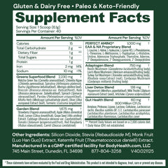 BodyHealth Greens Enhanced daily scoop highlights easy daily intake for balanced nutrition.