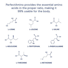 BodyHealth PerfectAmino label highlights BCAAs and vegan ingredients