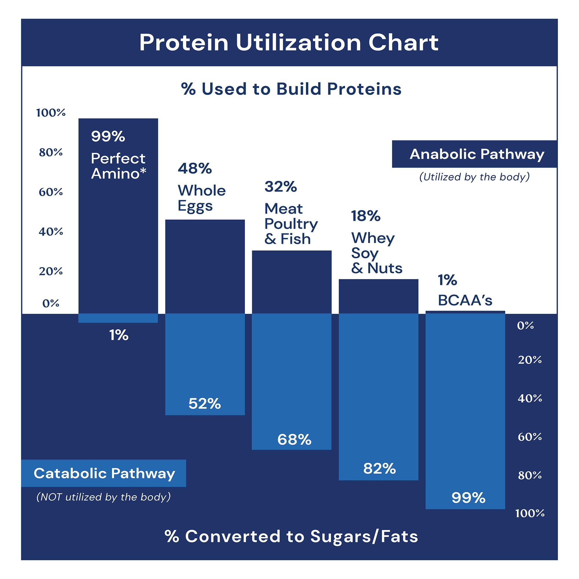 BodyHealth PerfectAmino packaging emphasizing USA cGMP manufacturing quality.
