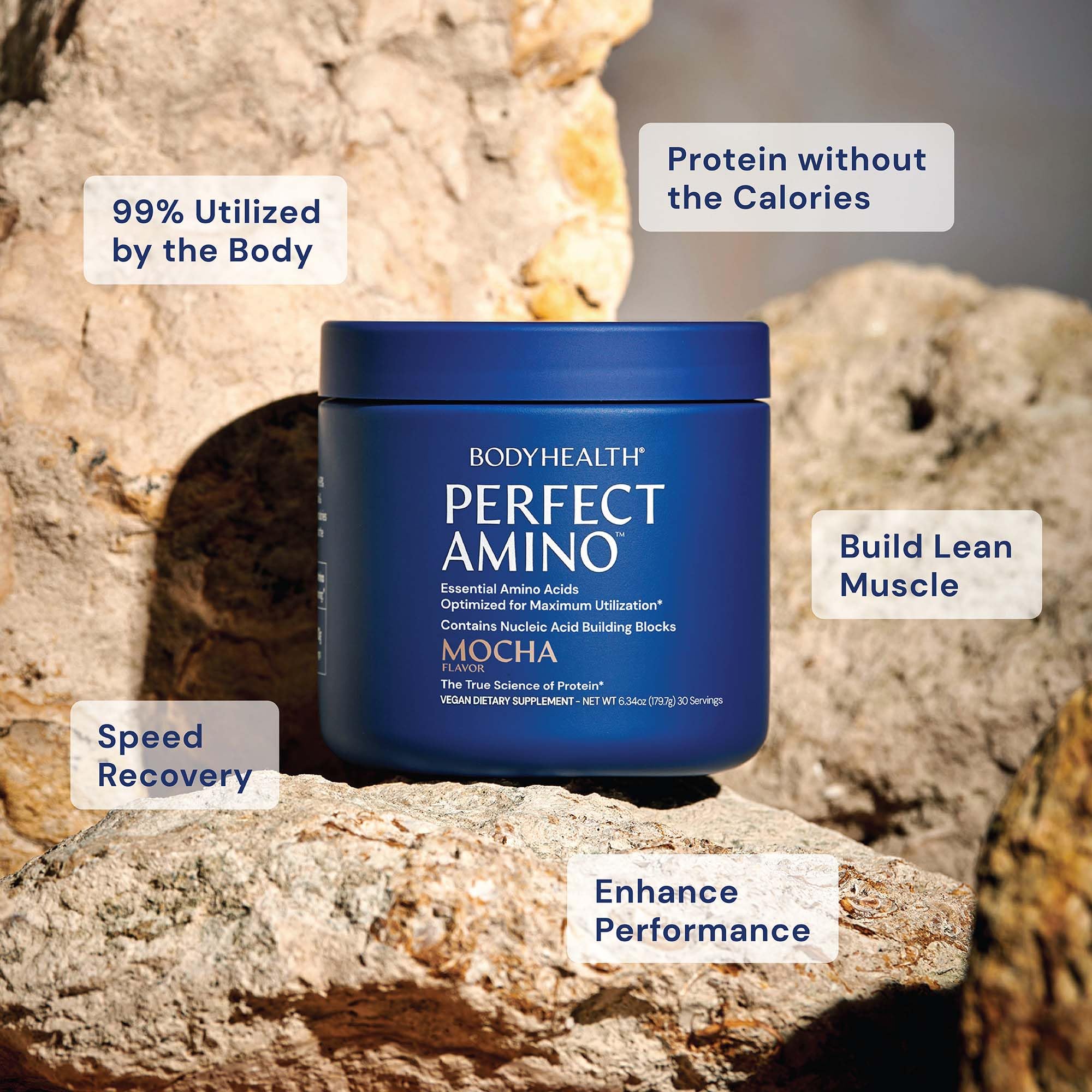 BodyHealth PerfectAmino ingredients highlighting nucleic acids for protein synthesis support