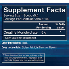 BodyTech Creatine Monohydrate Powder scoop demonstrates precise 5 g serving for strength training
