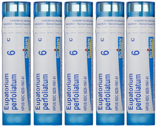 Boiron Eupatorium Perfoliatum 6C pellets in a tube for fast onset support.