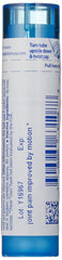 Boiron Rhus Toxicodendron 6C pellets held in hand, portable remedy.