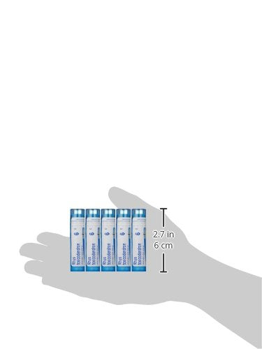 Five-tube pack of Boiron Rhus Toxicodendron 6C for convenient use.