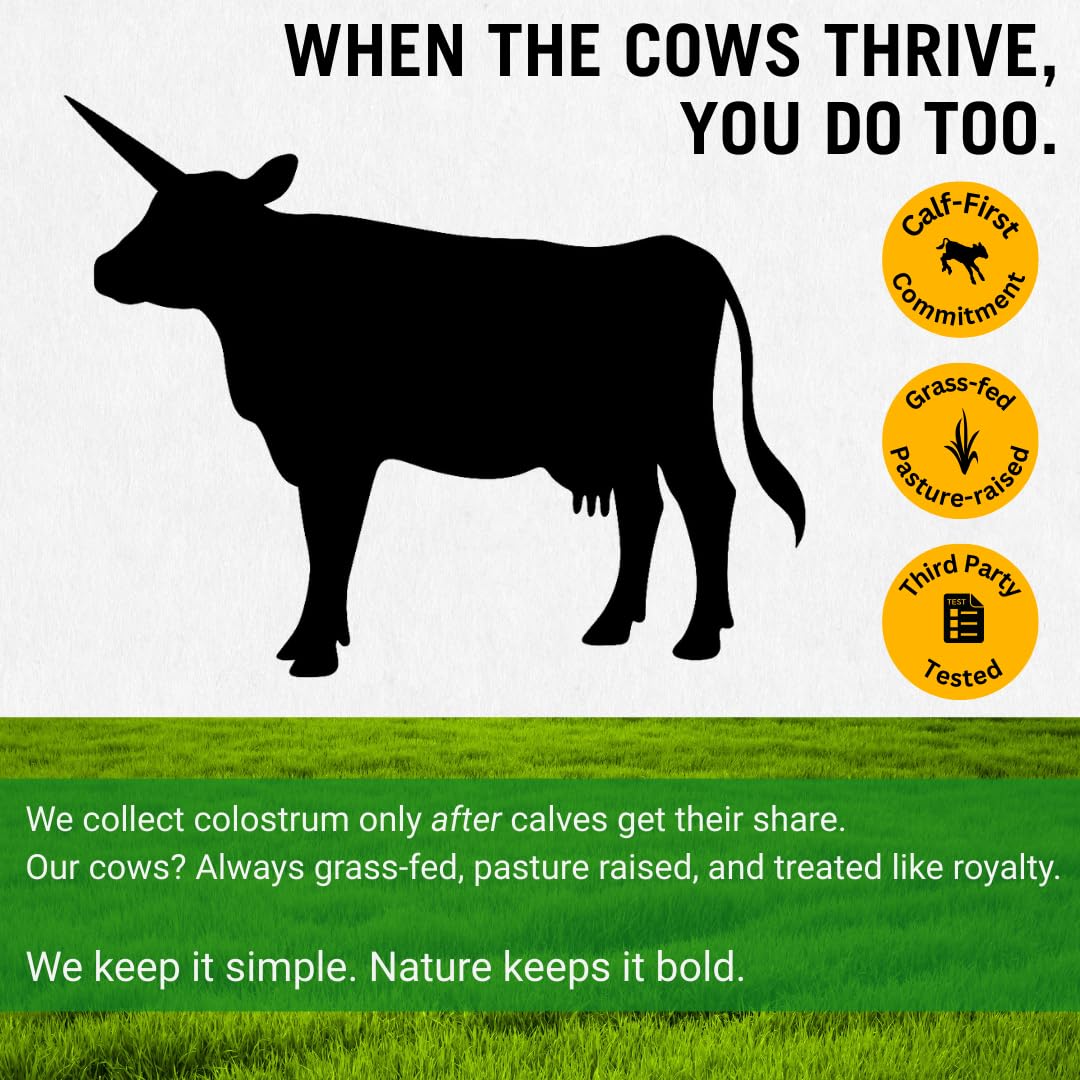 Bold Belly Colostrum Powder sourced from grass-fed USA farms