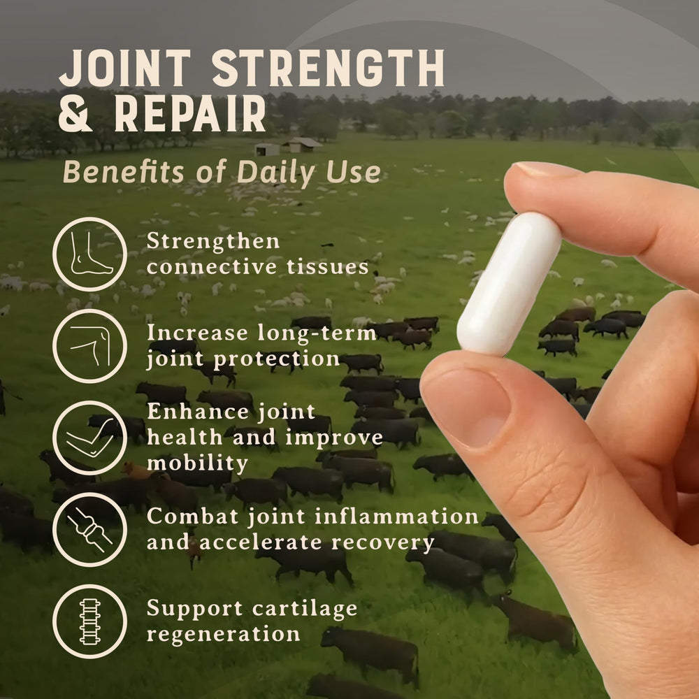Heart & Soil bone marrow trachea capsules closeup for joint nutrition