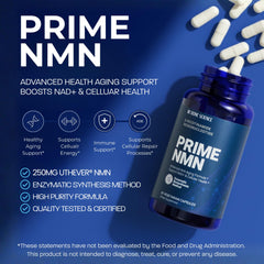 BONE SCIENCE emphasis on improved nutrient utilization and absorption.