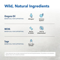 BoneActiv wild oregano, sage, rosemary blend shown for herbal nourishment