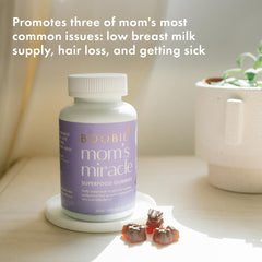 Boobie Bears elderberry gummy close-up for immune support.