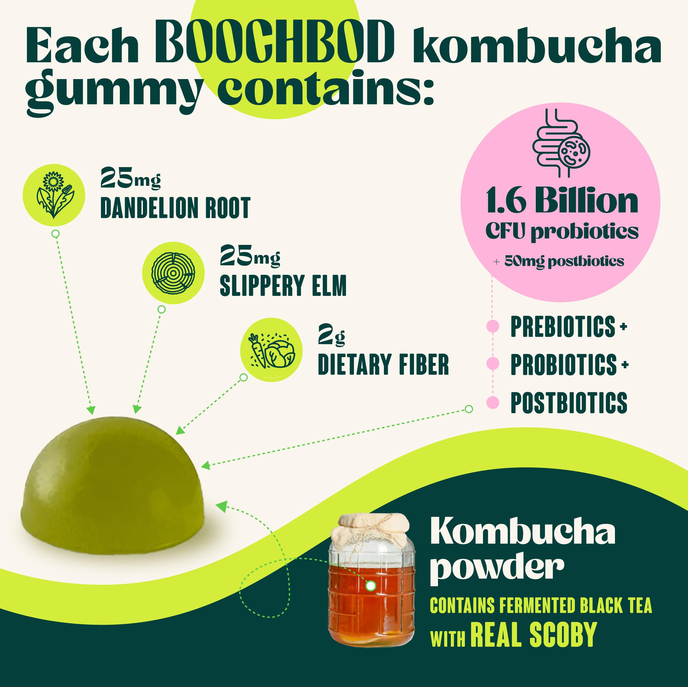 Gummies held in hand for daily gut balance possibilities.