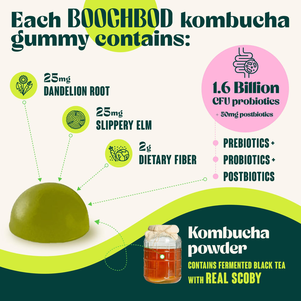 Gummies held in hand for daily gut balance possibilities.