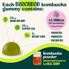 Gummies held in hand for daily gut balance possibilities.