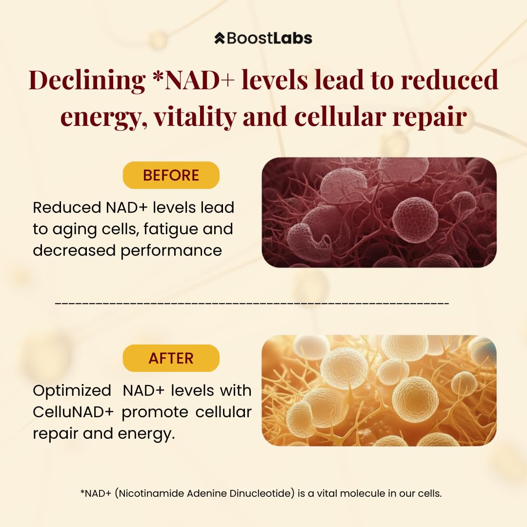Boost Labs NAD+ liquid in smoothie for easy daily use