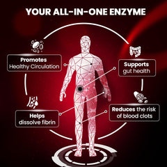 Boscent Lumbrokinase delayed-release capsules in pack suggesting optimized absorption.