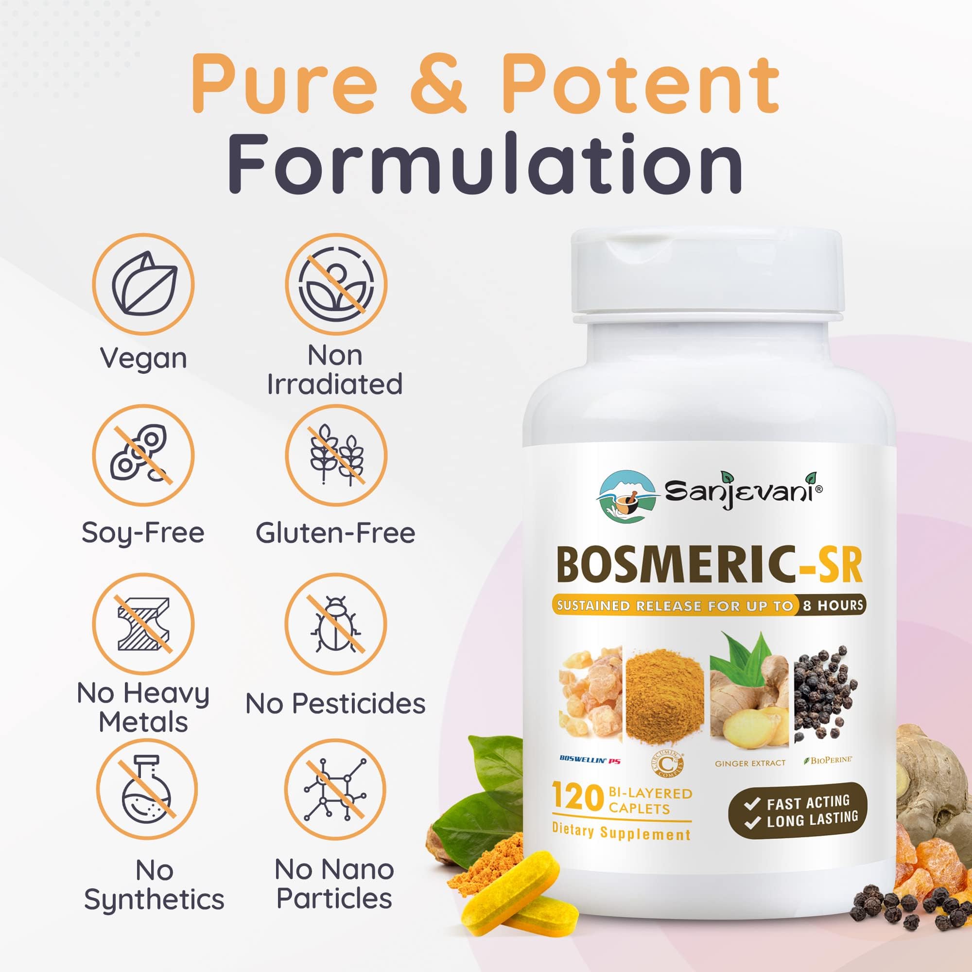 Bosmeric SR ginger extract with 20% gingerols