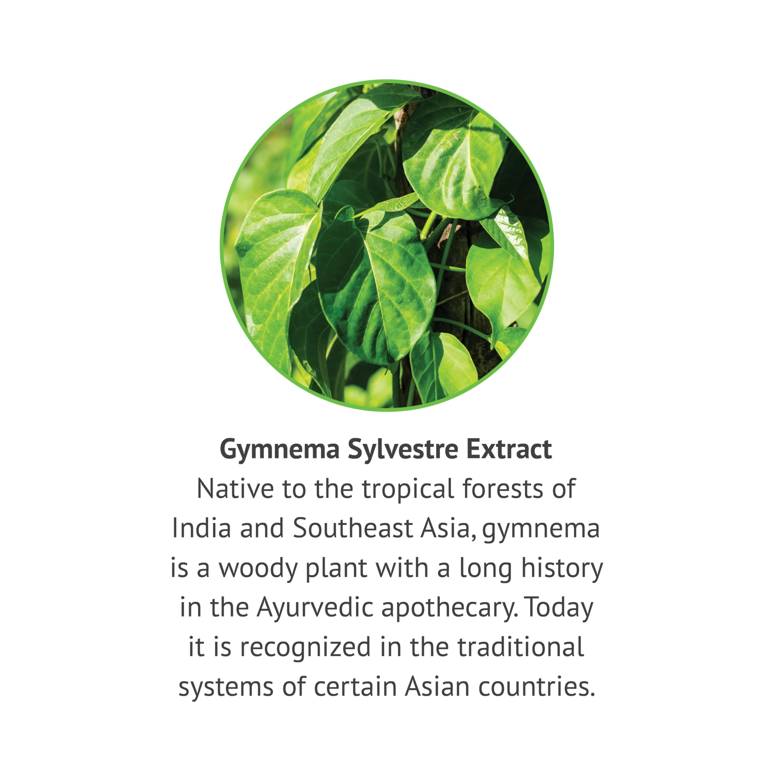 Packaging of Botanic Choice Gymnema Sylvestre liquid extract emphasizes heritage and purity