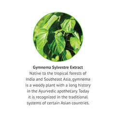 Packaging of Botanic Choice Gymnema Sylvestre liquid extract emphasizes heritage and purity