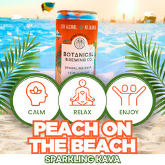 Botanical Brewing gluten-free vegan icons on packaging emphasize inclusive sipping.