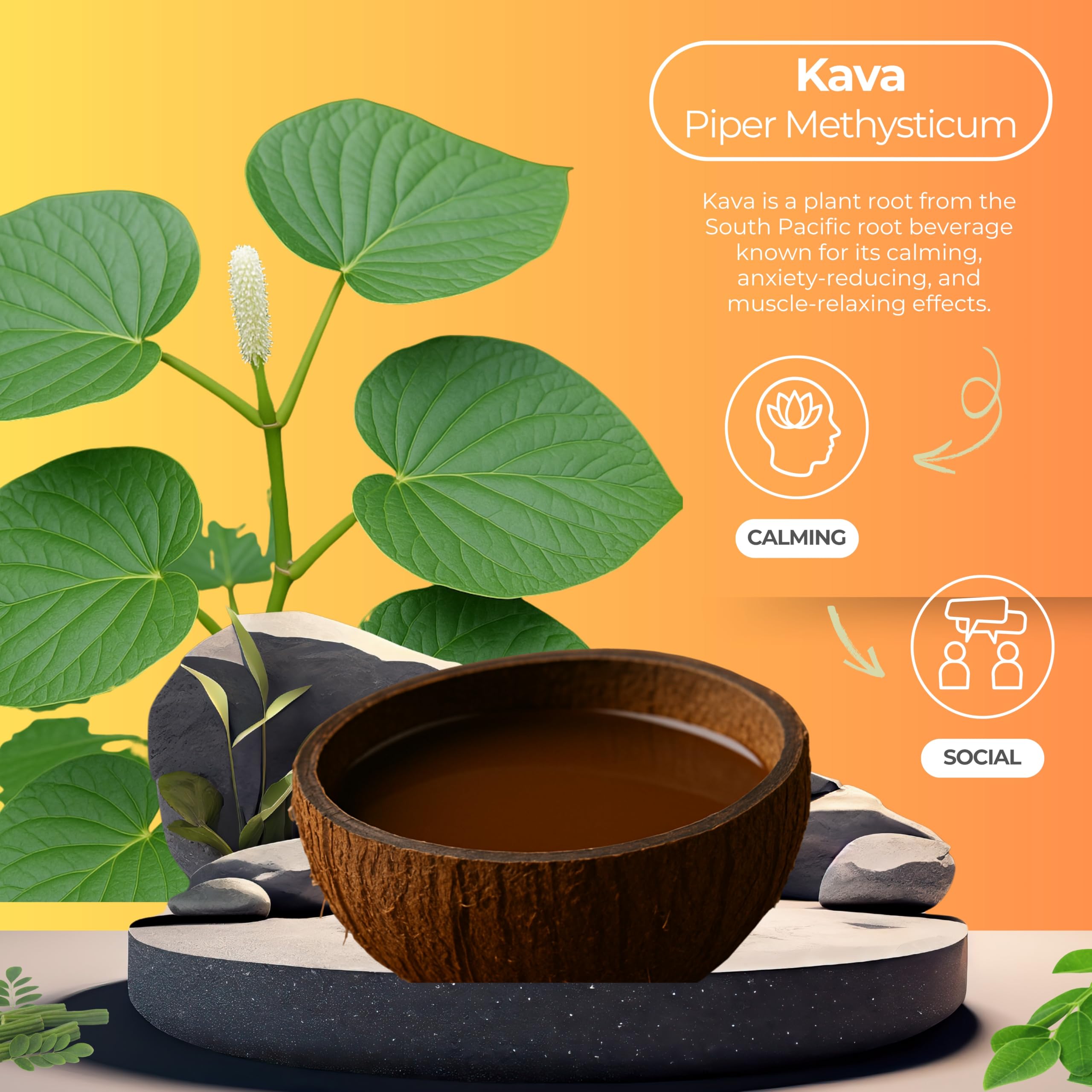 Botanical Brewing Kava Root Extract label close-up conveys premium, natural ingredients.
