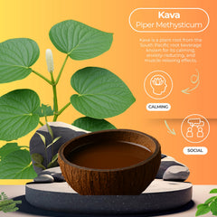 Botanical Brewing Kava Root Extract label close-up conveys premium, natural ingredients.