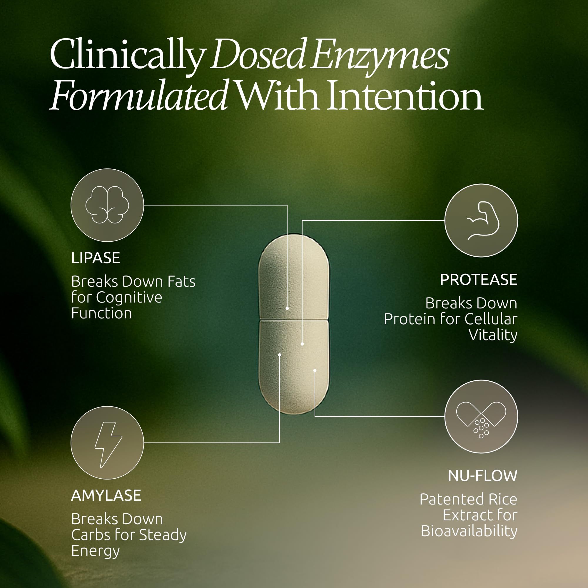 Boulder Bio Digestive Enzymes label details emphasize quality and safe use.