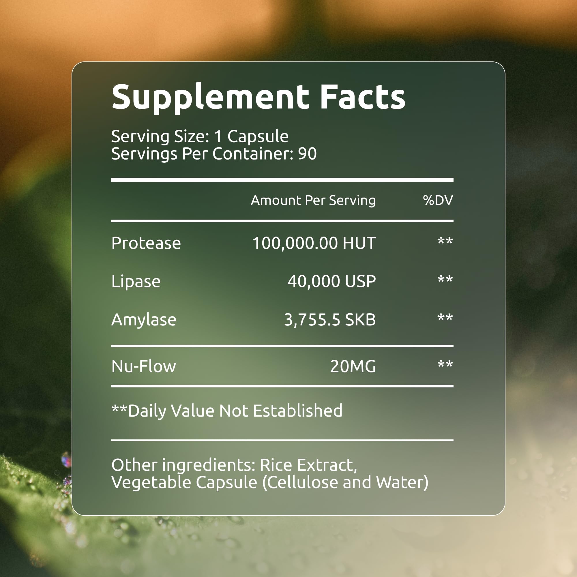 Boulder Bio Digestive Enzymes research-backed formulation presented by scientists.