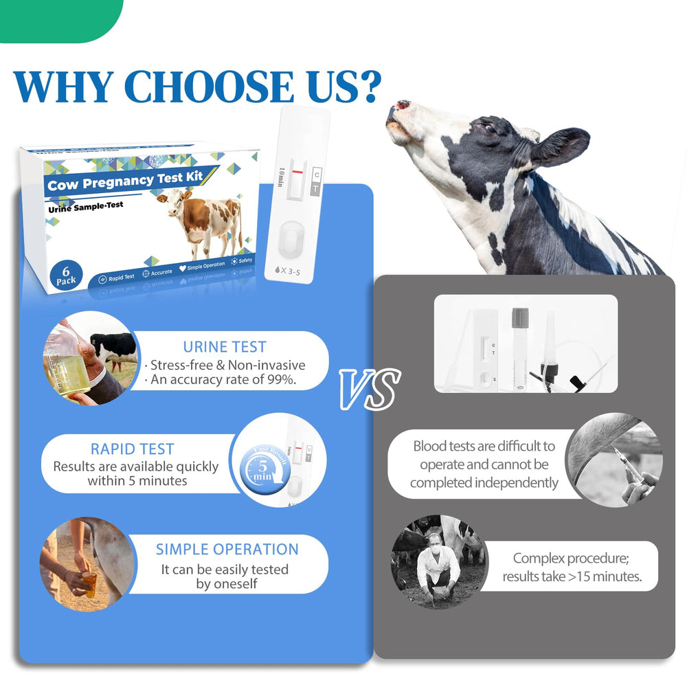 Result card displays clear outcomes for each cow.