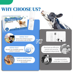 Result card displays clear outcomes for each cow.
