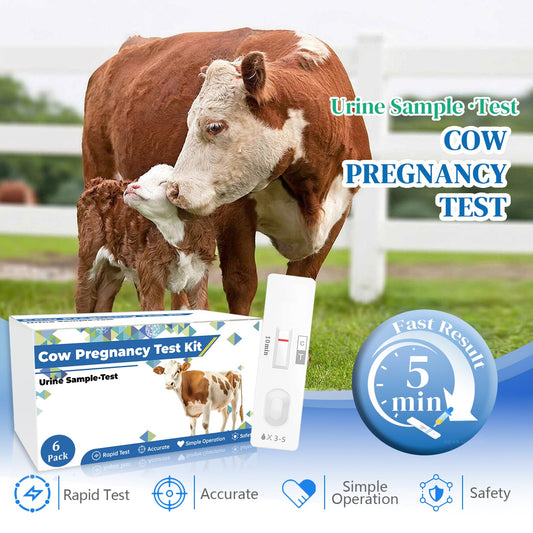 Bovine pregnancy test kit urine strip for rapid on-site results.