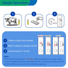 Bovine Pregnancy Test Kit individual test strip ready for use.