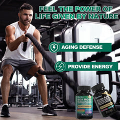 All-in-one lifestyle support visuals suggesting daily routine integration