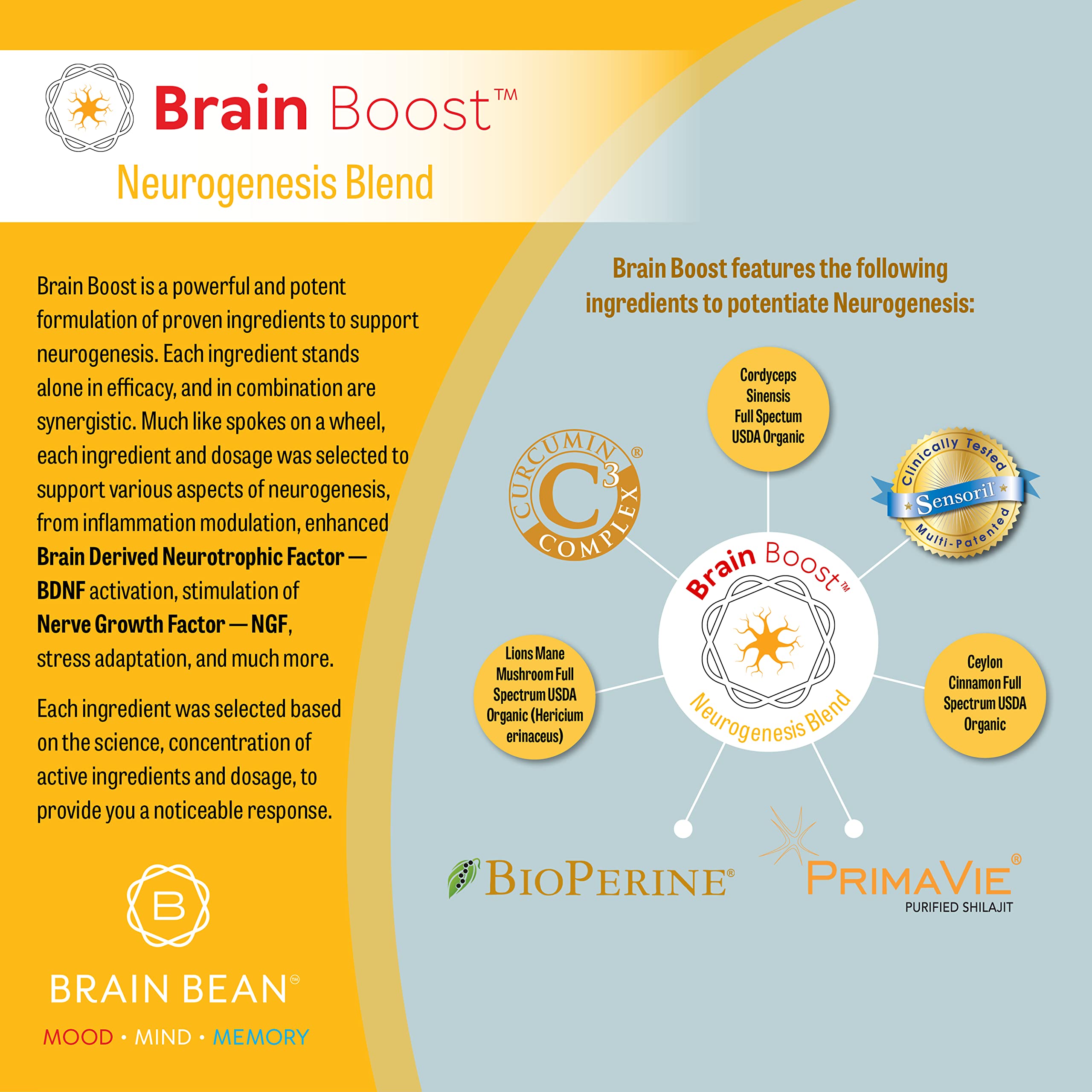 Brain Bean Brain-Boost coffee-mix blends into your morning latte for a smoother start.