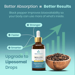 BREATHIUM sunflower lecithin ingredient graphic emphasizing absorption support