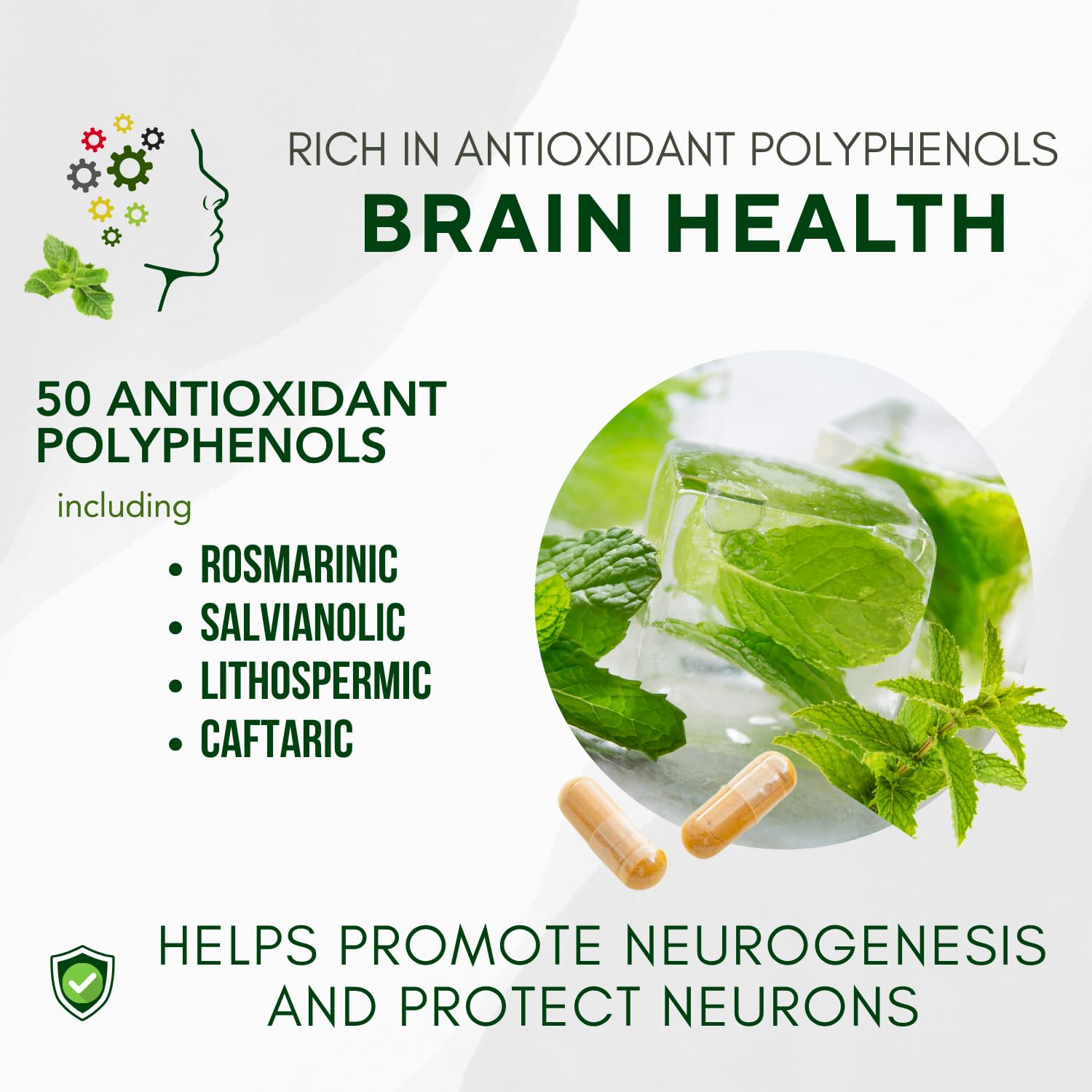 Bricker Labs Neumentix spearmint extract image label highlights antioxidant support for brain health.