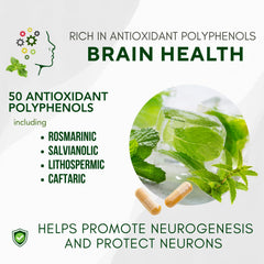 Bricker Labs Neumentix spearmint extract image label highlights antioxidant support for brain health.