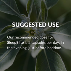 BrocElite SleepElite bedside storage scene showing convenient container for night routines.