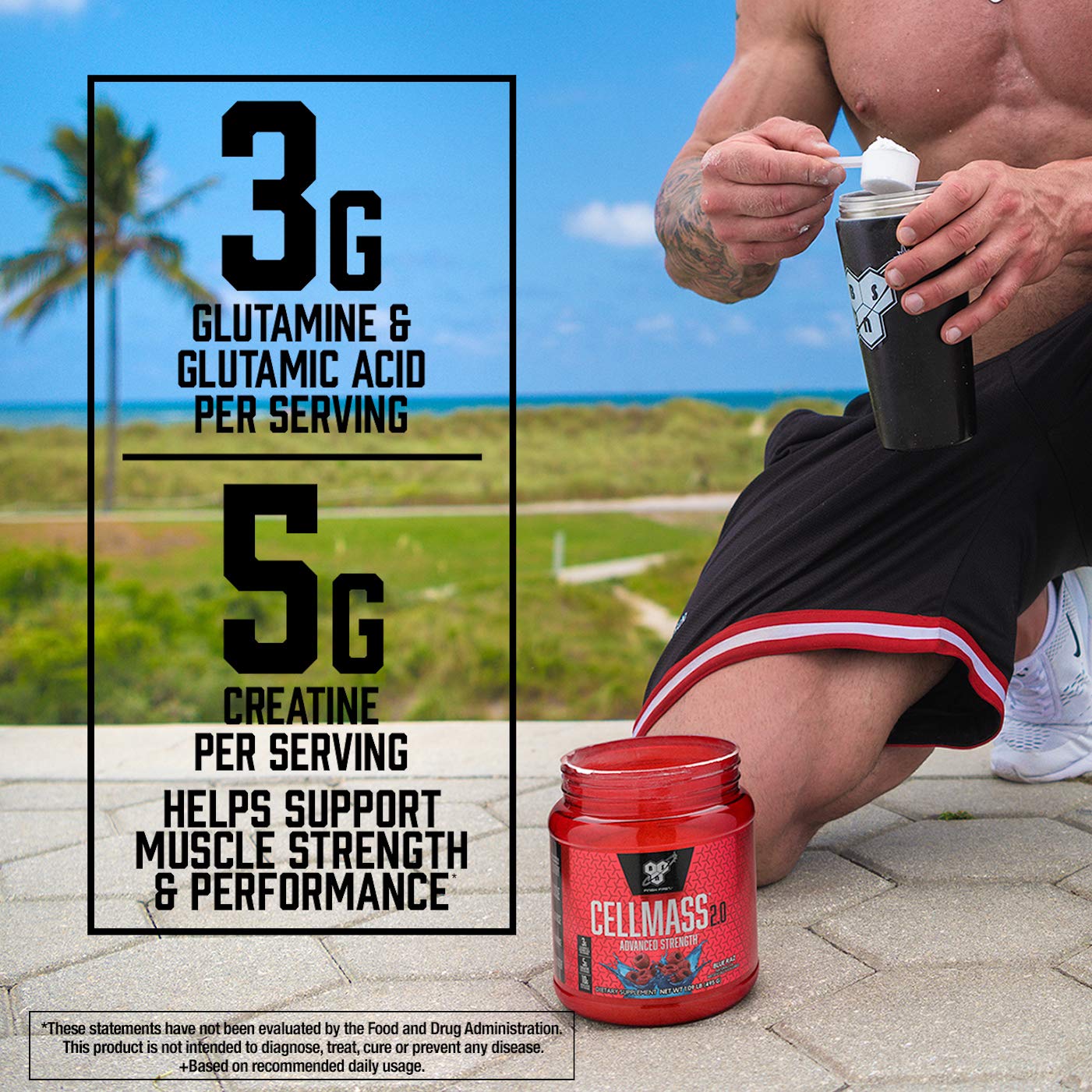 BSN CELLMASS 2.0 whey protein hydrolysate section emphasizes added protein during recovery.