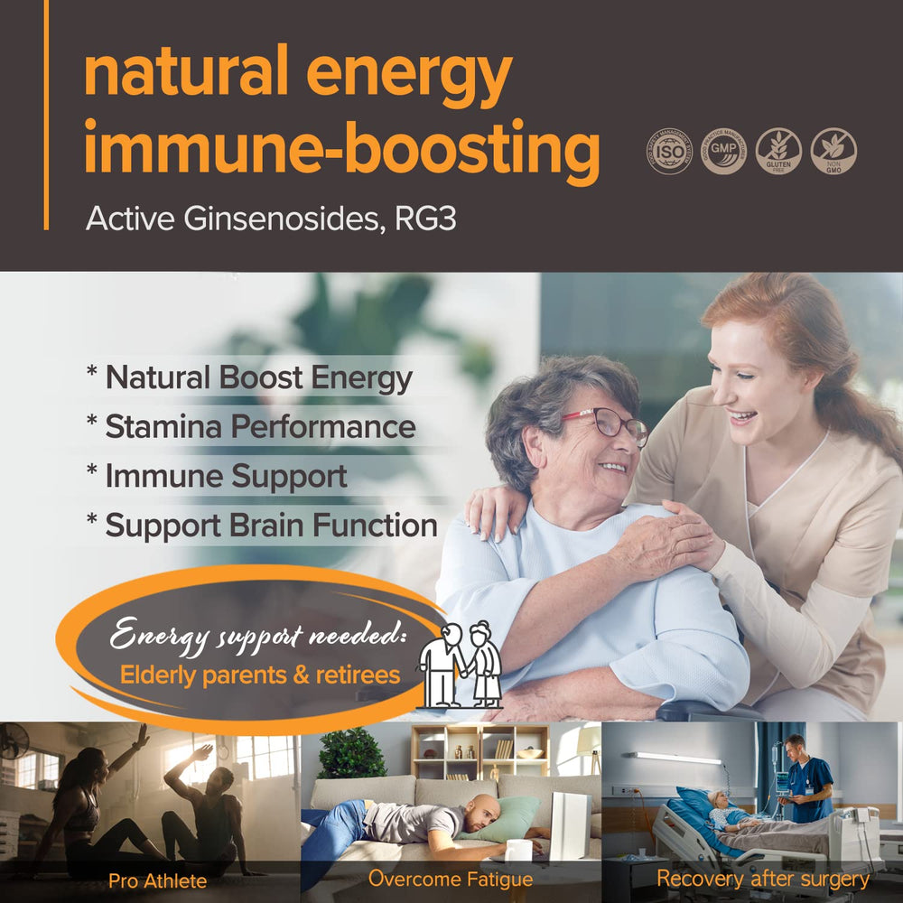 BTGIN Bon graphic illustrating enzyme fermentation to boost absorption